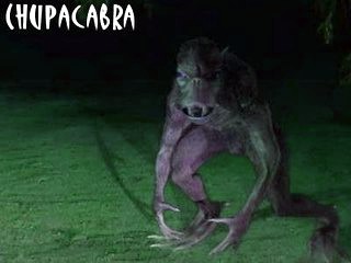 chupacabra